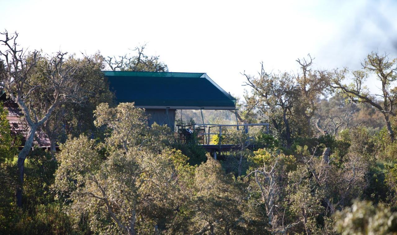 Eco Glamping Portugal Nature Lodge Sao Luis Exterior photo